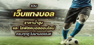สมัครเว็บ แทงบอล
